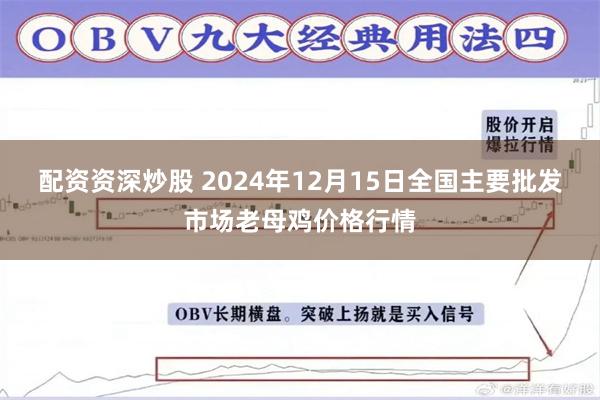 配资资深炒股 2024年12月15日全国主要批发市场老母鸡价格行情