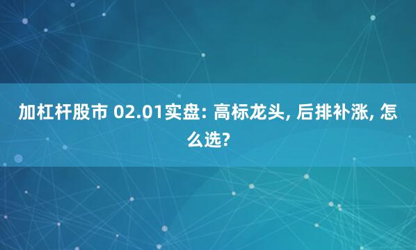 加杠杆股市 02.01实盘: 高标龙头, 后排补涨, 怎么选?