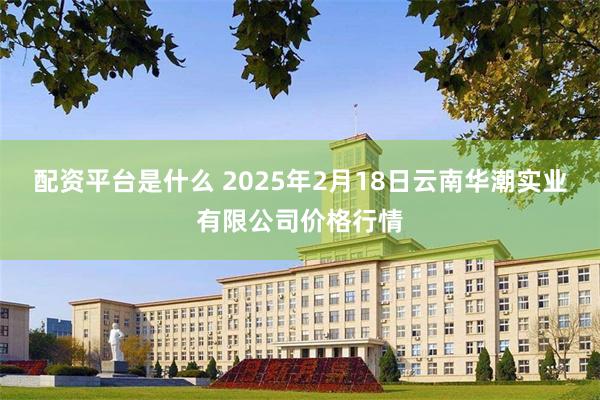 配资平台是什么 2025年2月18日云南华潮实业有限公司价格行情