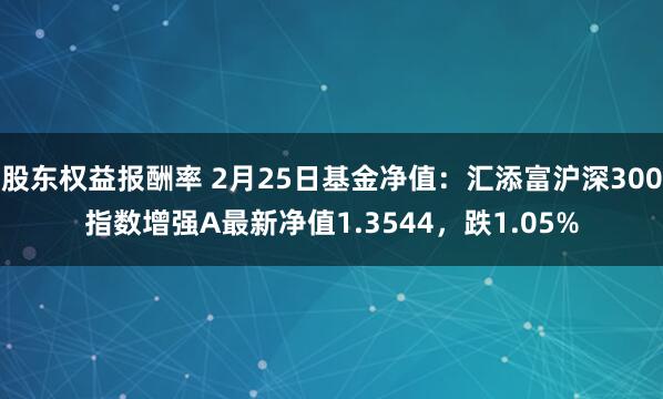 股东权益报酬率 2月25日基金净值：汇添富沪深300指数增强A最新净值1.3544，跌1.05%